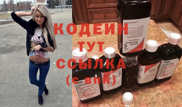 МДПВ Инсар