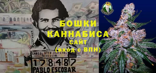 МДПВ Инсар