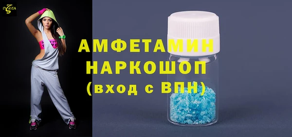 МДПВ Инсар