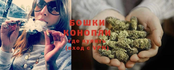 МДПВ Инсар