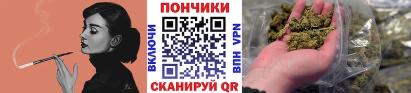 Бошки Шишки SATIVA & INDICA Купить закладки Зеленокумск